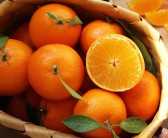柑橘幼果期用什么叶面肥（柑橘幼果期怎么施肥）
