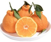 柑橘蚜虫防治方法（柑橘蚜虫是柑橘生产上的常见害虫）
