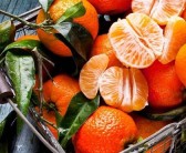柑橘脚腐病是怎么形成（柑橘脚腐病有什么药可以冶吗?）