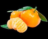 柑橘黄化病施什么肥料能治（柑橘黄化打针专用药）